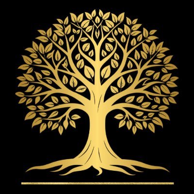 KalpTechnocrats's profile picture. Innovative IT solutions for web, mobile, AI & software.
Tech that scales with your business.
📍India | 💡 Let’s build smart.