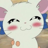 히딘 (@hee_din__) 's Twitter Profile