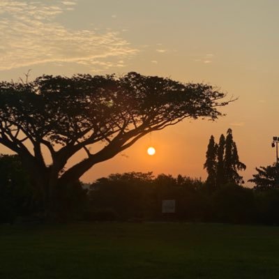 zahaden2's profile picture. 