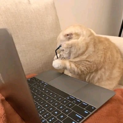 ffdd28_'s profile picture. 