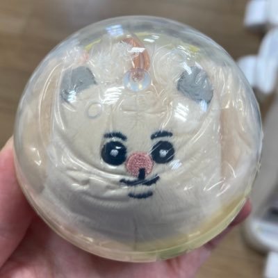 ﾎﾞの字🦭さんのプロフィール画像