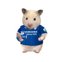 숑 (@blue_wings11) 's Twitter Profile