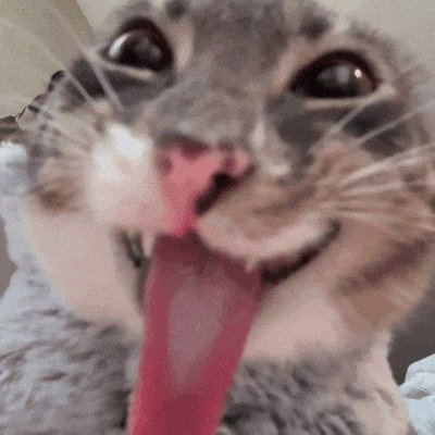 kattelia7's profile picture. wait a minute! i'm white, hehe