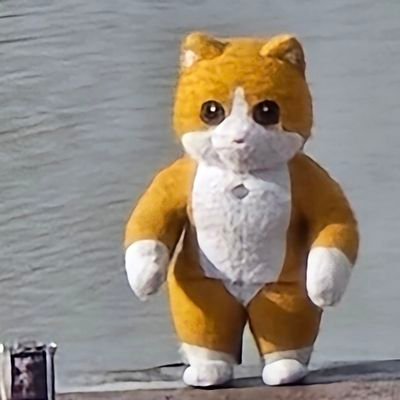 sunnytop14's profile picture. 