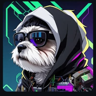 marcociezaa's profile picture. 