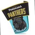 PanoramaPanthers (@pano_panthers) Twitter profile photo PanoramaPanthers (@pano_panthers) Twitter profile photo