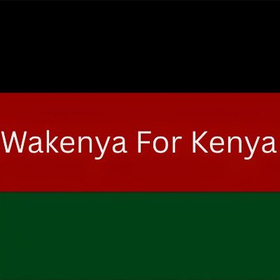 Wakenya For Kenya is a community-led effort raising medical funds for Kenyans injured during recent protests.
https://t.co/Xfu1oYYKtB