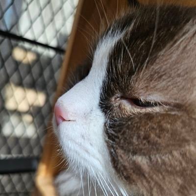 qhflsl123's profile picture. 호이