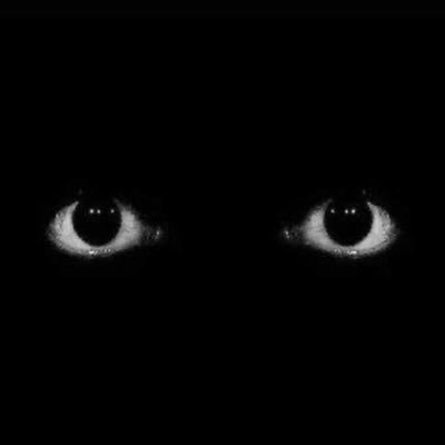 SoulGrimp's profile picture. Earth Elements! #Studying Law, Esquire in Embryo.