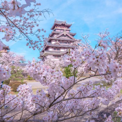 私は台湾から来た女性で、🌸🍷日本が大好きです。現在、日本語を学びながら、日本の文化についても理解を深めています。いつか日本に旅行に行けることを楽しみにしています。金融✨業界で働いていますが、投資のアドバイスは一切行いません。私は美味しい食べ物や美しい風景について話すことが好きです。🌸