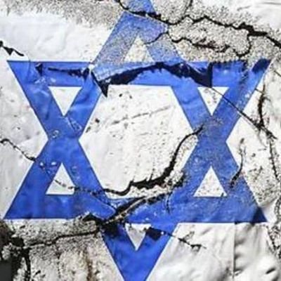 I stand with peace and humanity❤️
Israeli🇮🇱 🐢soldier
Animal lover🐕🐾
CRYPTO🚫NO PORN
🚫