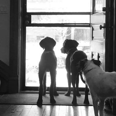 Batzell's profile picture. This is my real twitter page. All others are bogus.