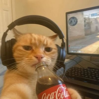 kingprabhuji's profile picture. Saraswat Co‑operative Bank Ltd employee, indian🇮🇳. Trying to get payoff!