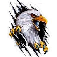 Eagle224017's profile picture. 