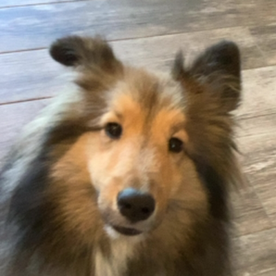 ezzzzzzz_1's profile picture. 