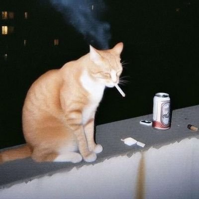 W1ndBlack's profile picture. Sei lá... 🦕