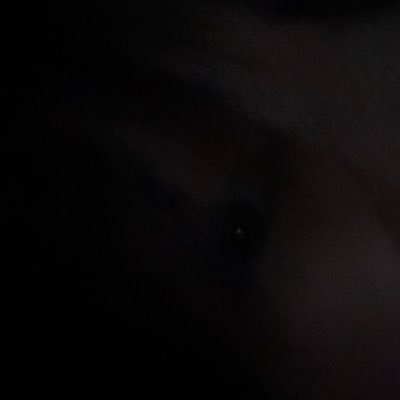 Trunks_vrc's profile picture. _Trunks / _Kaworu