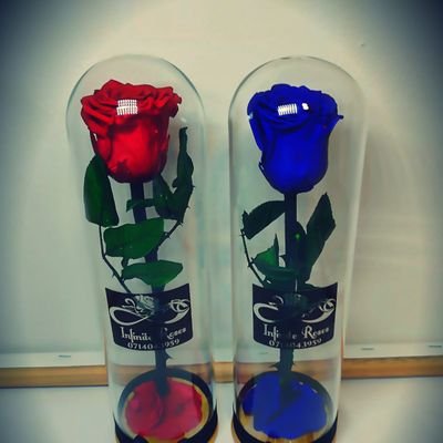 jacobstea9894's profile picture. My heart my DESIRE 😍