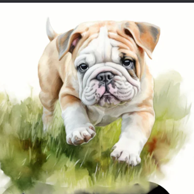 LindsayC8476's profile picture. 