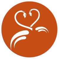 Beyin ve Sinir (@beyinvesinir) 's Twitter Profile Photo