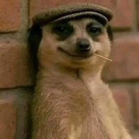 Hillary (@onserio21) 's Twitter Profile Photo