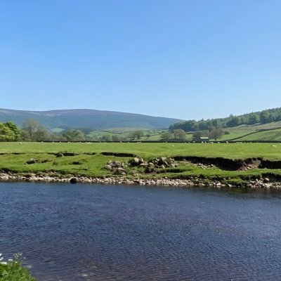 pauljosh277's profile picture. Not my sunglasses