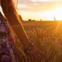 H. (@queenwithoutapo) 's Twitter Profile