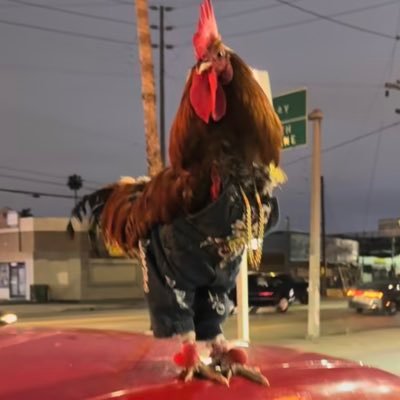 Xonitfor's profile picture. Senior Policy Analyst Department Of Common Sense