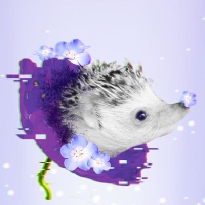 かぴさんのプロフィール画像