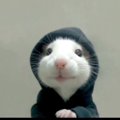 Riyaaaaaaa16's profile picture. Sky is the limit...
SUKOON 🤍