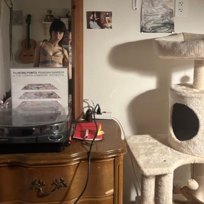 drpussypopper's profile picture. 