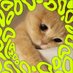 Maria | bobโs blob (@formulaavocado) Twitter profile photo Maria | bobโs blob (@formulaavocado) Twitter profile photo