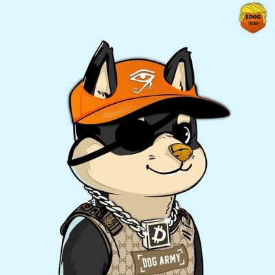 crypto | nft | degen | historian | collector | Crypto native since 2021🚀