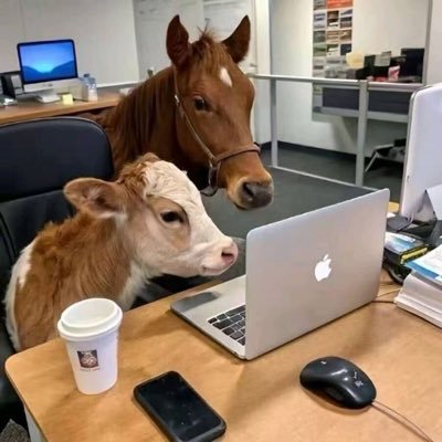 LiQihao1688's profile picture. (互fo)