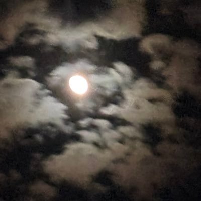 F1aGd13159's profile picture. 