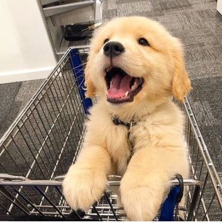 MirrorInDust's profile picture. 