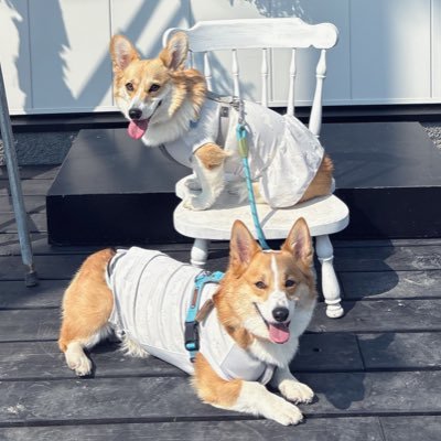 reo191115's profile picture. レオ19/11/15 ルネ23/10/31 ポスト少なめ やる気なし