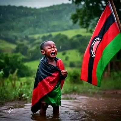 MCassimsaizi's profile picture. 