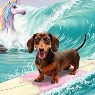 :Pさんのプロフィール画像