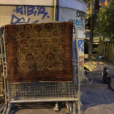 aybuobs's profile picture. apoletlerini yırt, kavminden kaç.