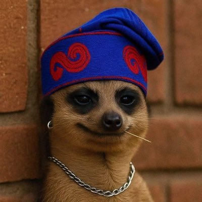 harbiola050's profile picture. 