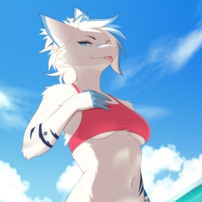 Zvezdaさんのプロフィール画像
