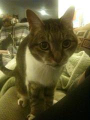 HarryStanfield's profile picture. I bellow half baked concepts and profanities at ppl for a living.