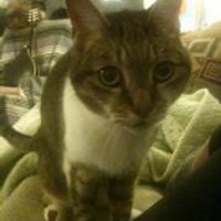 jon landry (@harrystanfield) 's Twitter Profile