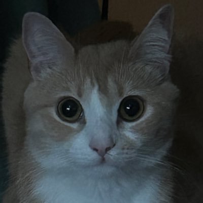 ro 🪩🫐🥥さんのプロフィール画像