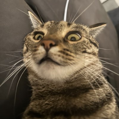 lliiii24's profile picture. Chemistry @ UCSB & NJU | X-ray & Catalysis