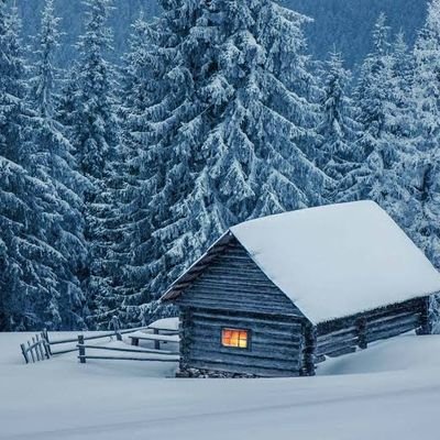 midwinterism's profile picture. In the bleak MidWinter❄️