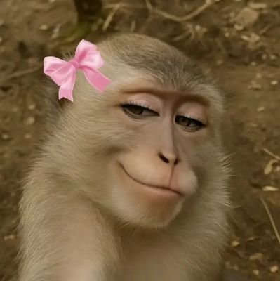 IvanirTait2806's profile picture. 🇧🇷🇷🇺