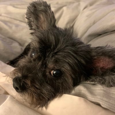 MagaToots Profile