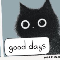 fahpatan (@nataphaf) 's Twitter Profile